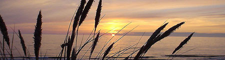 Ferienwohnung, Urlaub in Westerland, Sylt